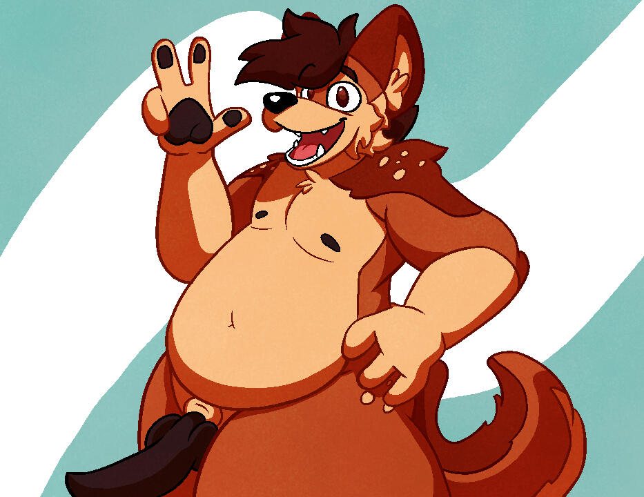 Wolfy A Dingo